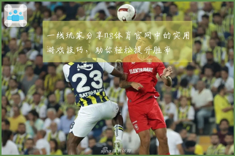 一线玩家分享ng体育官网中的实用游戏技巧，助你轻松提升胜率
